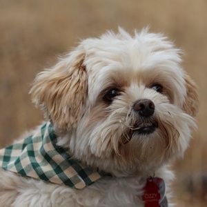 Meet your Posher, Leandra